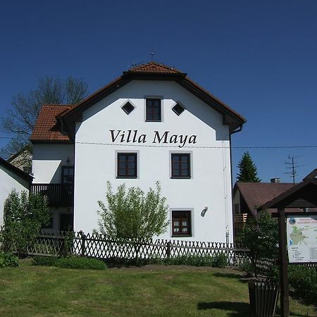Villa Maya Horní Planá Exterior foto