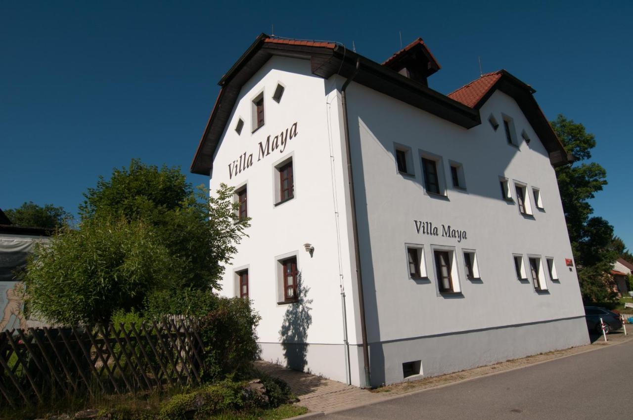 Villa Maya Horní Planá Exterior foto